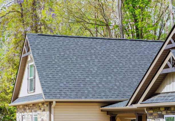 Best Solar Panel Roofing Installation  in Littlerock, CA